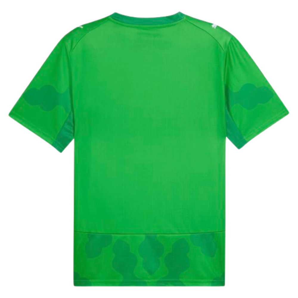 2026-2027 Egypt Goalkeeper Shirt (Green)