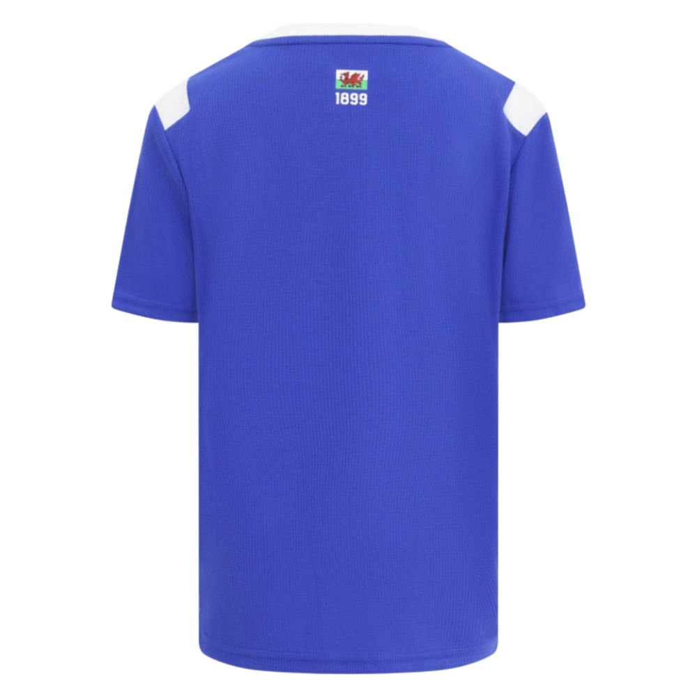 2026-2027 Cardiff City Home Shirt